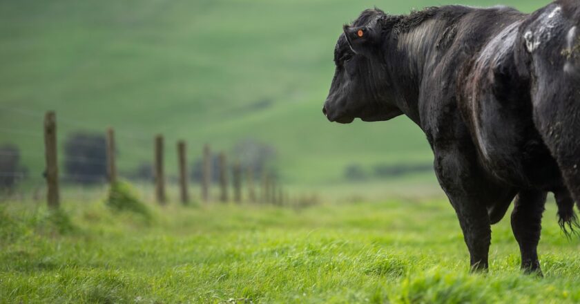 A metering officer at Southern Rural Water has designed a water meter bracket design to be made by a regional Victorian steel fabricator to improve the rollout of automated reading of water meters across the state. His bright idea has become a winning water solution for customers and Southern Rural Water.