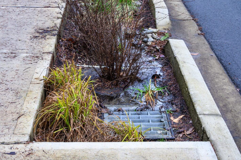 Researchers analyze how to help cities plan and implement green stormwater infrastructure.