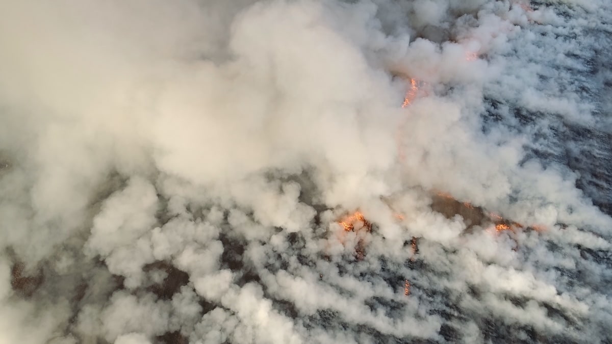Earth, bushfires, wind, water in the Murray Darling Basin - Inside Water
