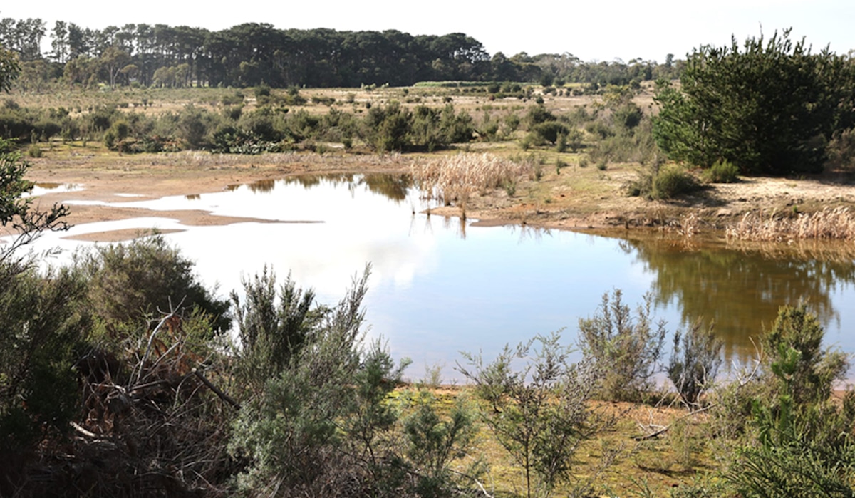 Murrk Ngubitj Yarram Yaluk opens at Wallington